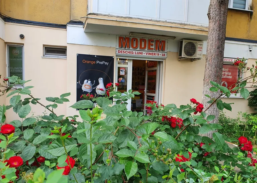 Vitrina MODEM în 2022, cu trandafirii din față